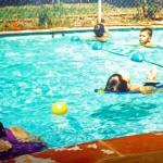 Swimming lessons for Preschoolers in the Summer